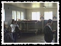 Foto 084